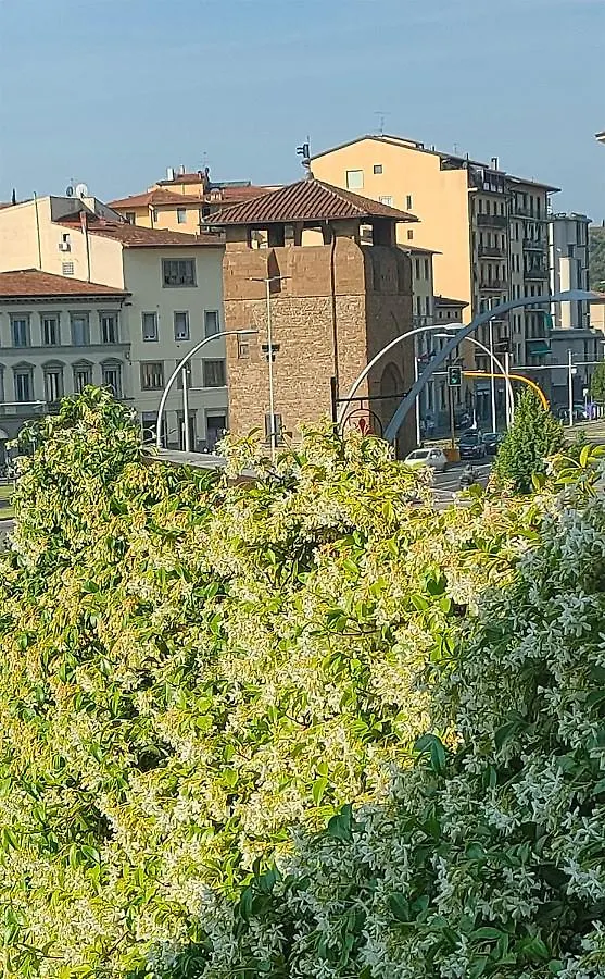 B&B Terrazza Belfiore Φλωρεντία Bed and Breakfast
